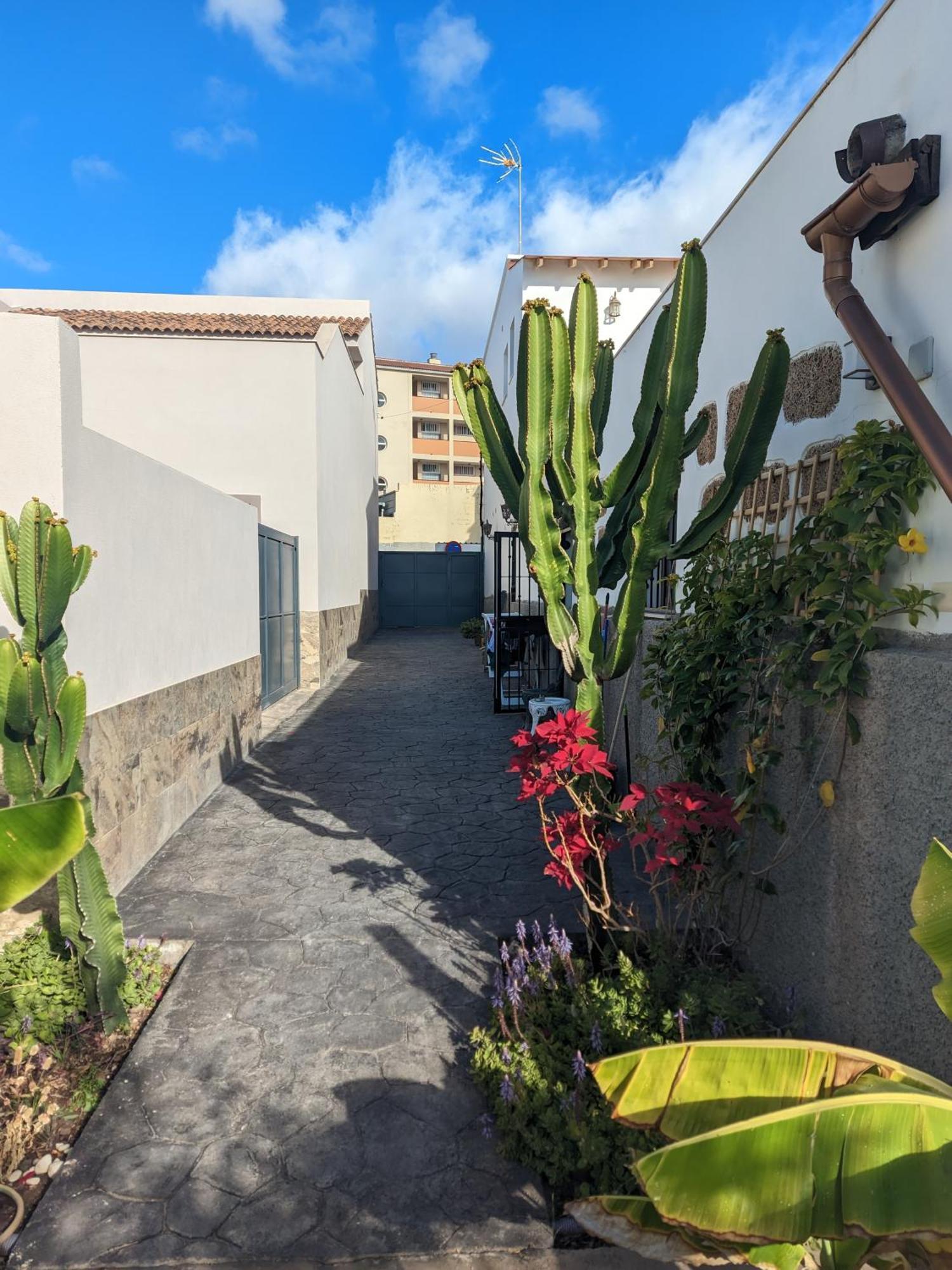 Apartamento Casa Roberta Fuego Arona  Exterior foto