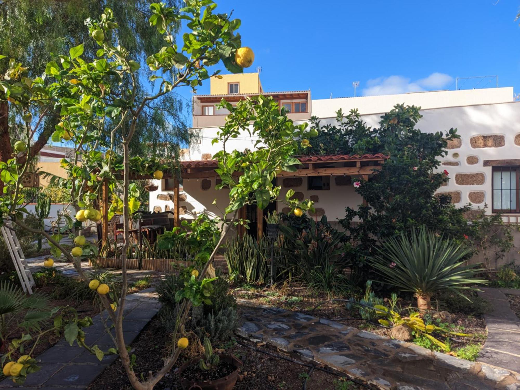 Apartamento Casa Roberta Fuego Arona  Exterior foto
